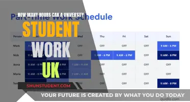 University Students: How Many Work Hours Are Advisable?