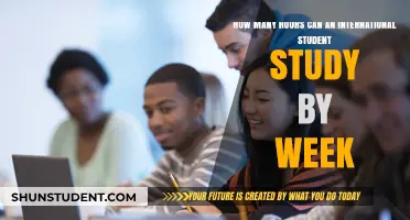 International Students: How Many Study Hours Weekly?