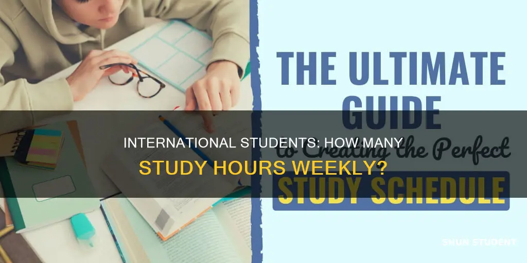 how many hours can an international student study by week