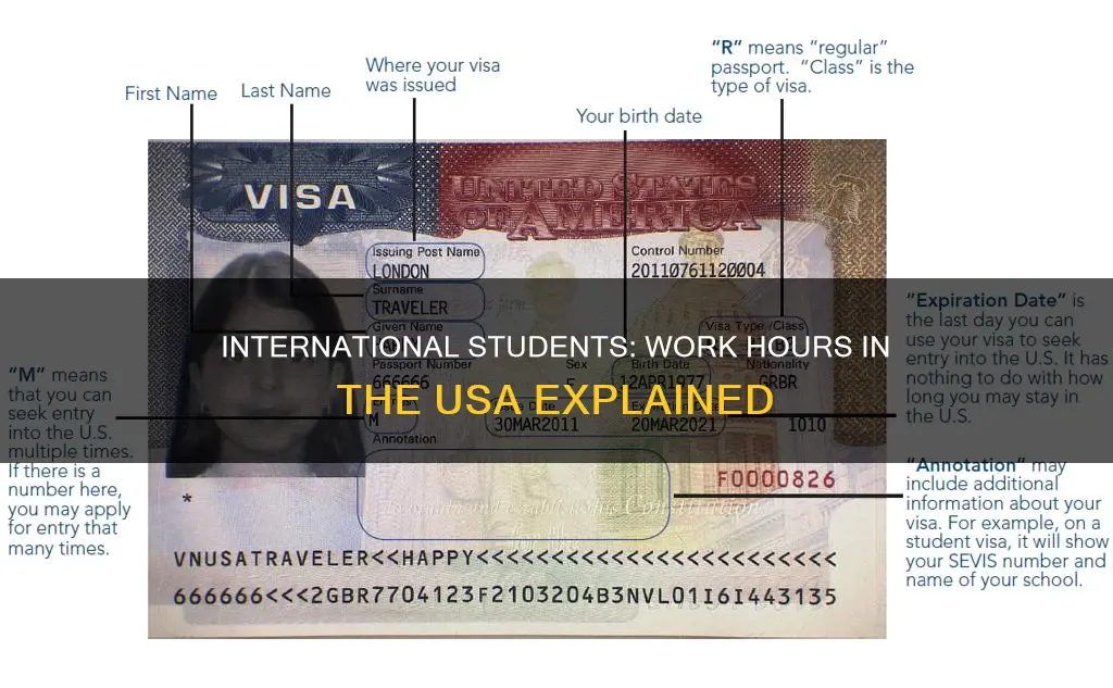how many hours can an international student work in usa