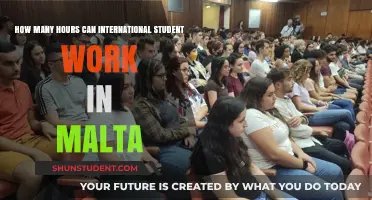 Working Hours for International Students in Malta