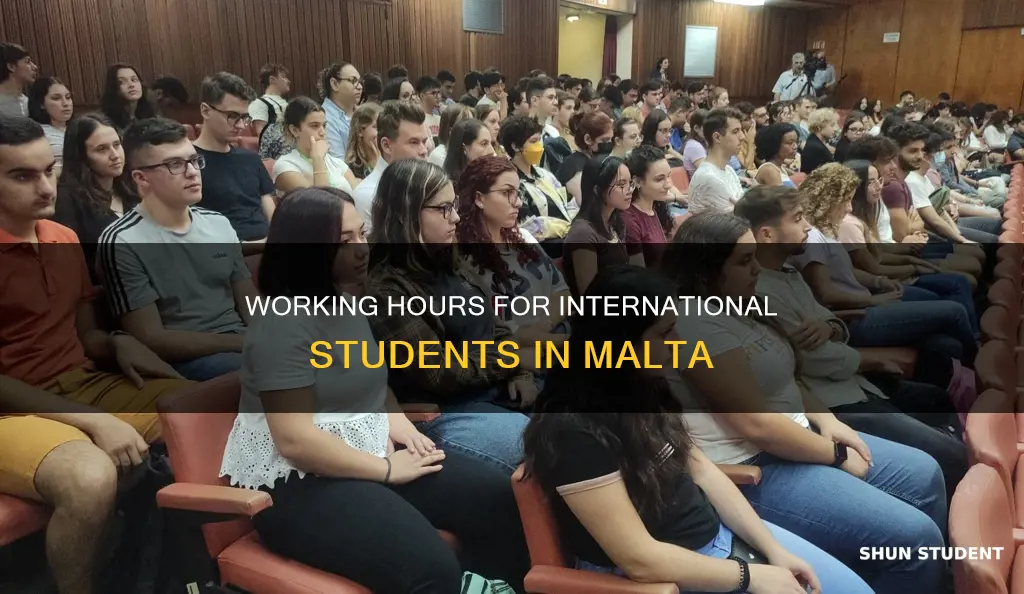 how many hours can international student work in malta