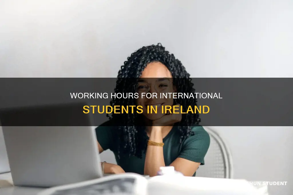 how many hours can international students work in ireland