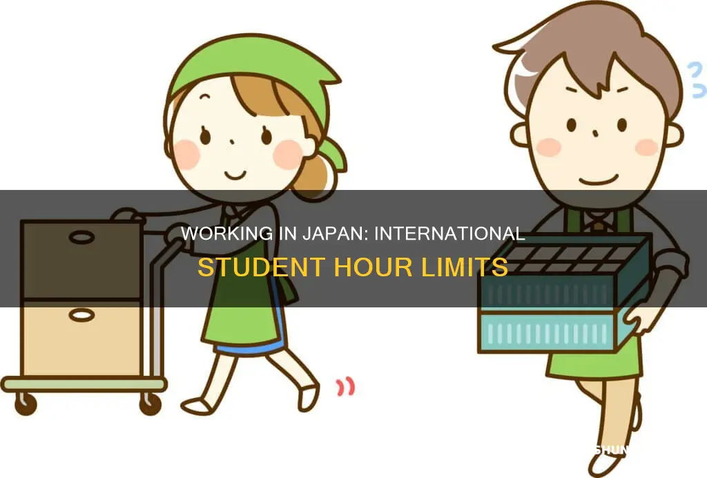 how many hours can international students work in japan
