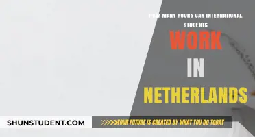 Work Hours for International Students in the Netherlands Explained