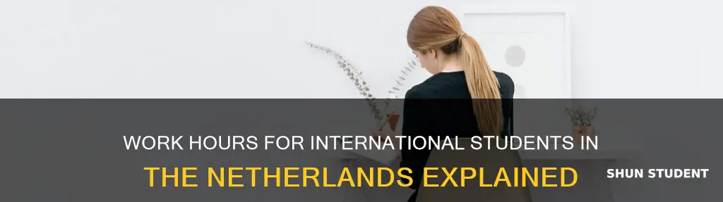 how many hours can international students work in netherlands