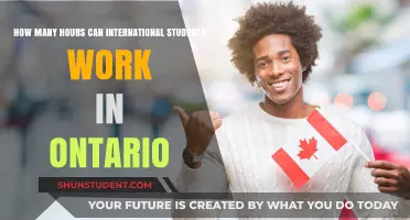 International Students: Working Hours in Ontario Explained