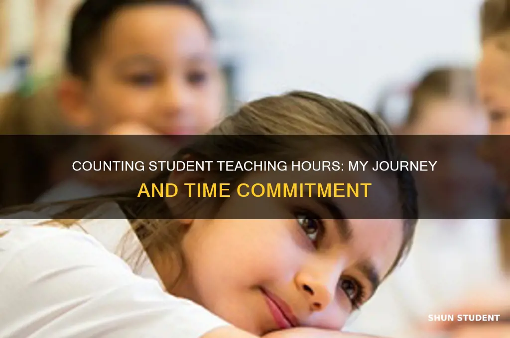 how many hours did i student teach
