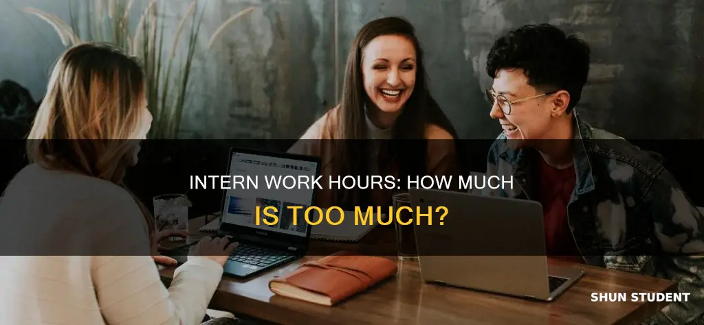 how many hours do student interns work