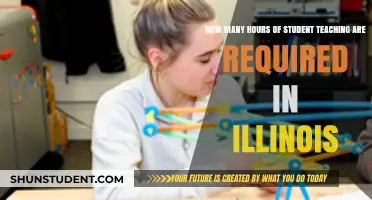 Illinois Student Teaching Requirements: Understanding Your Hours Commitment
