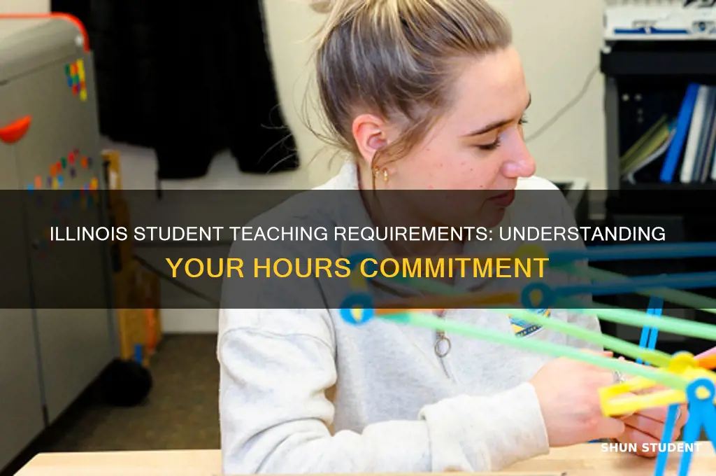 how many hours of student teaching are required in illinois