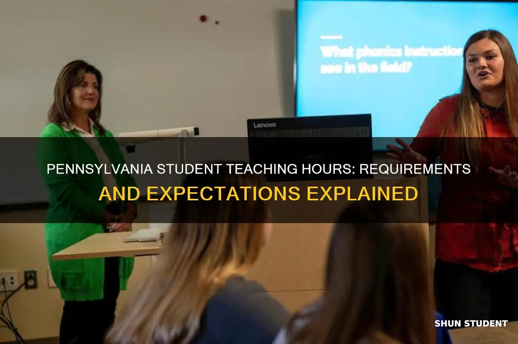 how many hours of student teaching are required in pennsylvania
