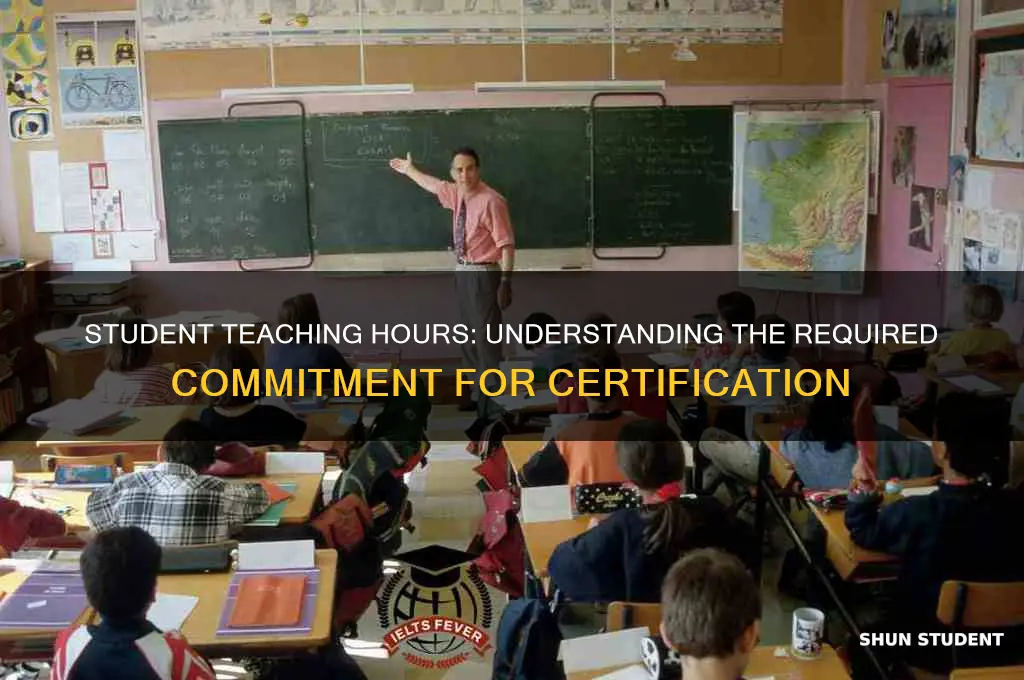 how many hours of student teaching are required