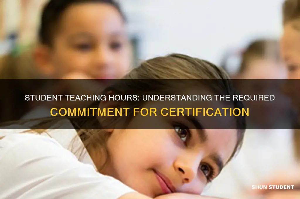 how many hours of student teaching is require