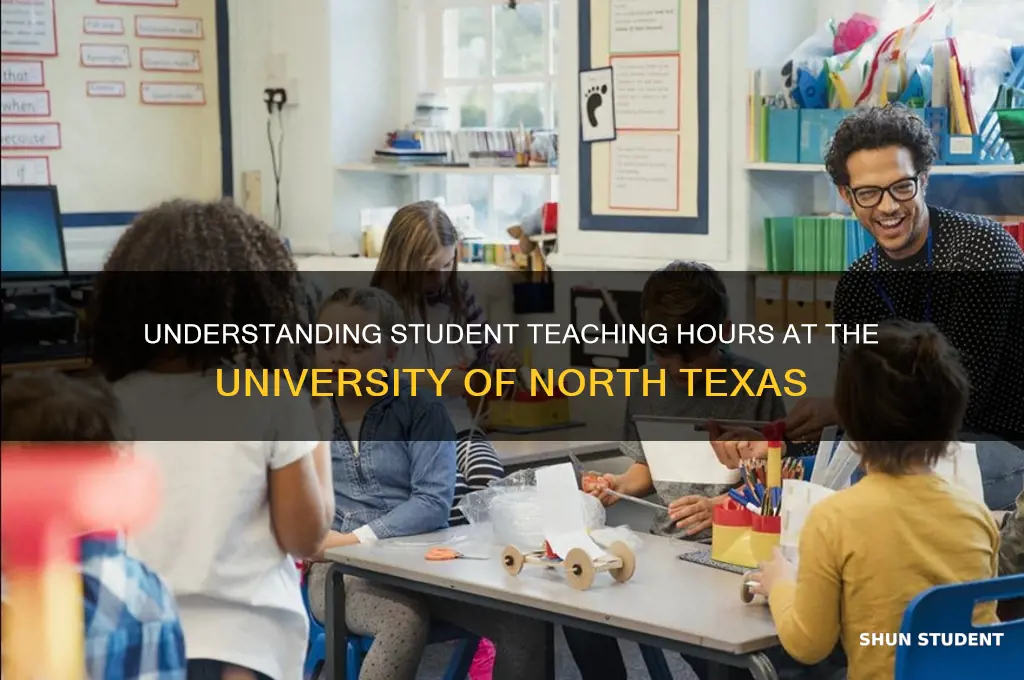 how many hours of student teaching unt