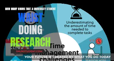 Time-Wasting Research: University Students' Hours Lost