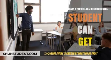 Hybrid Classes: International Students' Options
