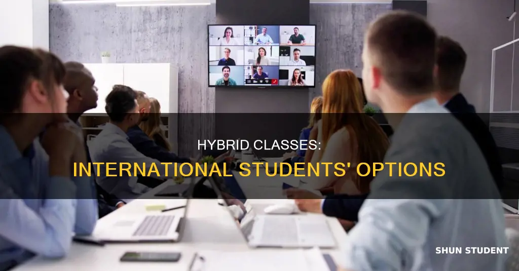 how many hybrid class internationals student can get