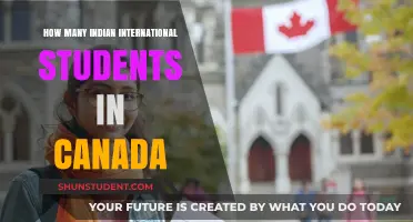 Indian Students Thriving in Canadian Universities