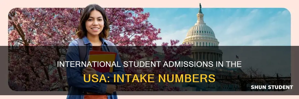 how many intake in usa for international students
