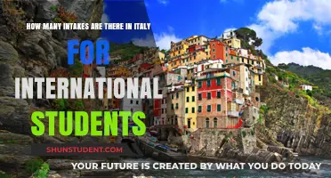 International Students: Intakes in Italy and Their Frequency
