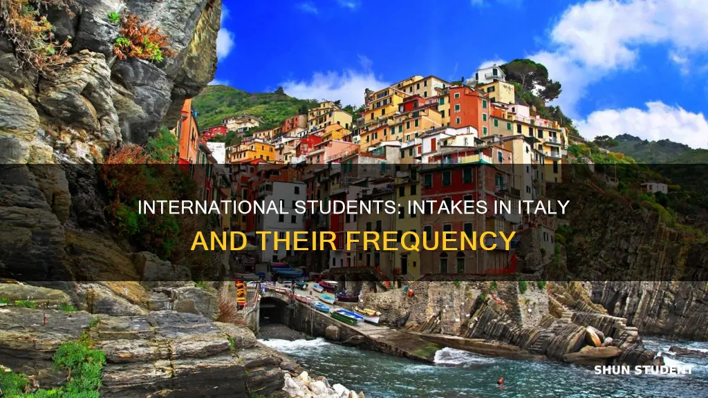 how many intakes are there in italy for international students