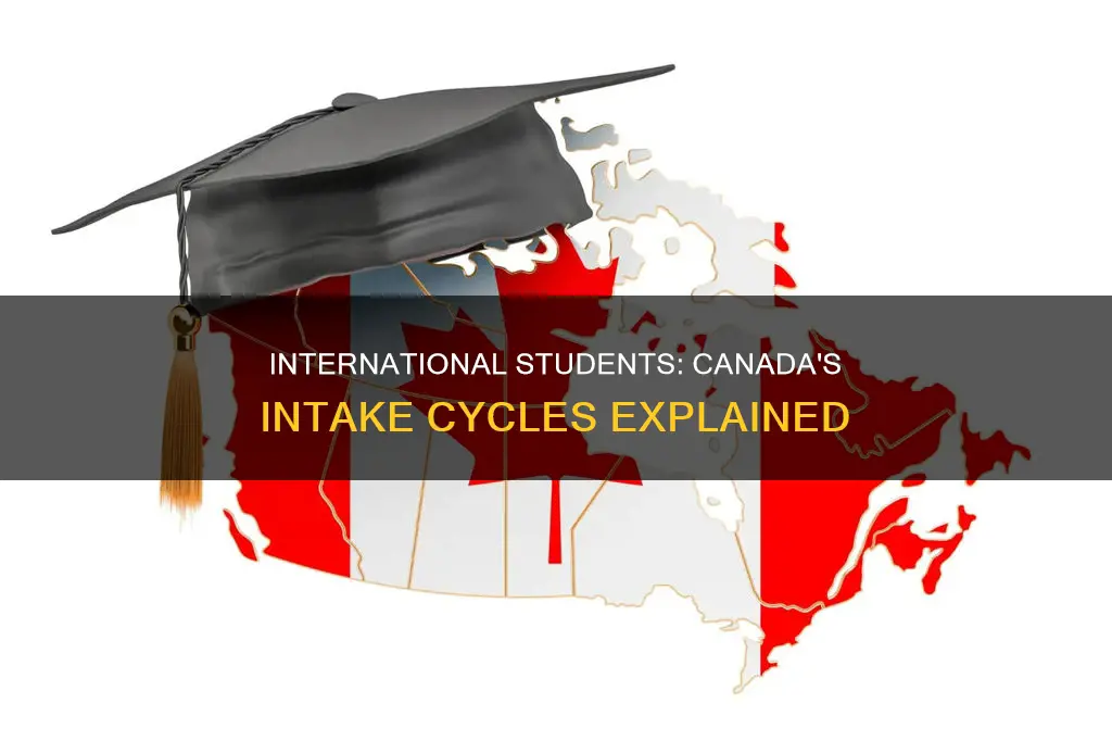 how many intakes in canada for international students