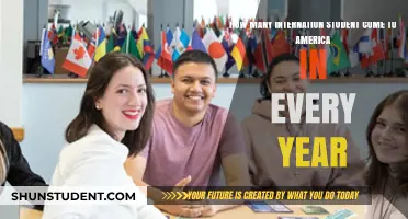 International Students in America: Annual Influx