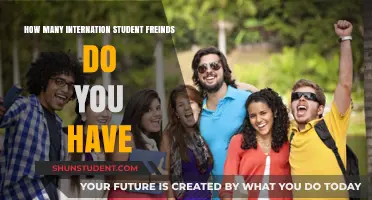Making Friends with International Students: How Many Is Enough?