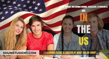International Students in the US: A Growing Community