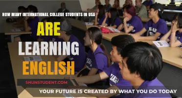English Learning Among International US College Students