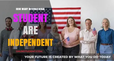 International Students' Independence: How Many Are Truly Self-Sufficient?