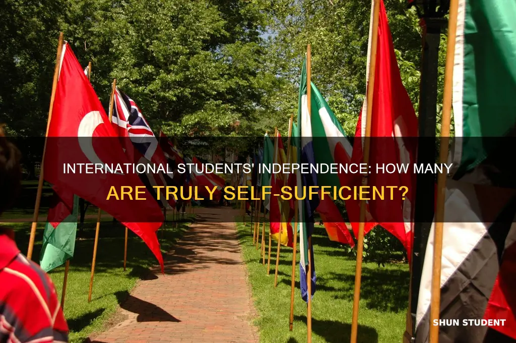 how many international student are independent