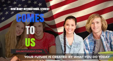 International Students in the US: A Growing Trend