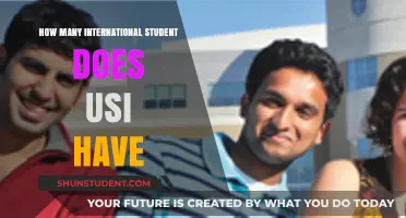 International Students at USI: A Diverse Community
