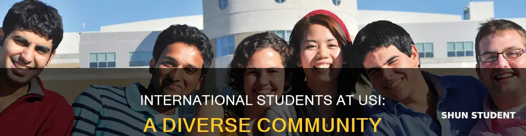 how many international student does usi have