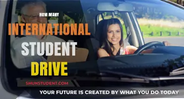International Students and Their Driving Habits