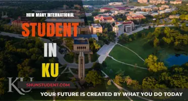 International Students at KU: A Thriving Community