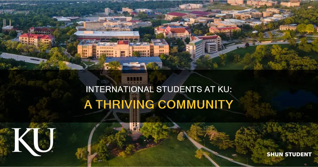 how many international student in ku