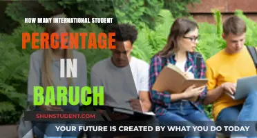 International Students: Baruch's Diversity Statistics