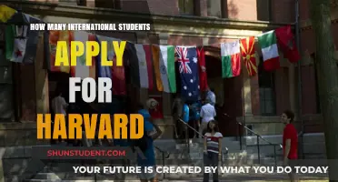International Students at Harvard: Application Numbers Revealed