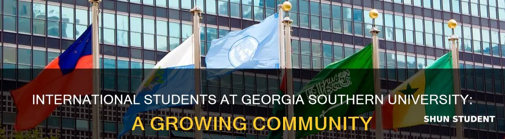 how many international students are at georgia southern university