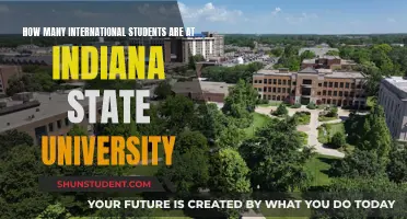 International Students Thriving at Indiana State University