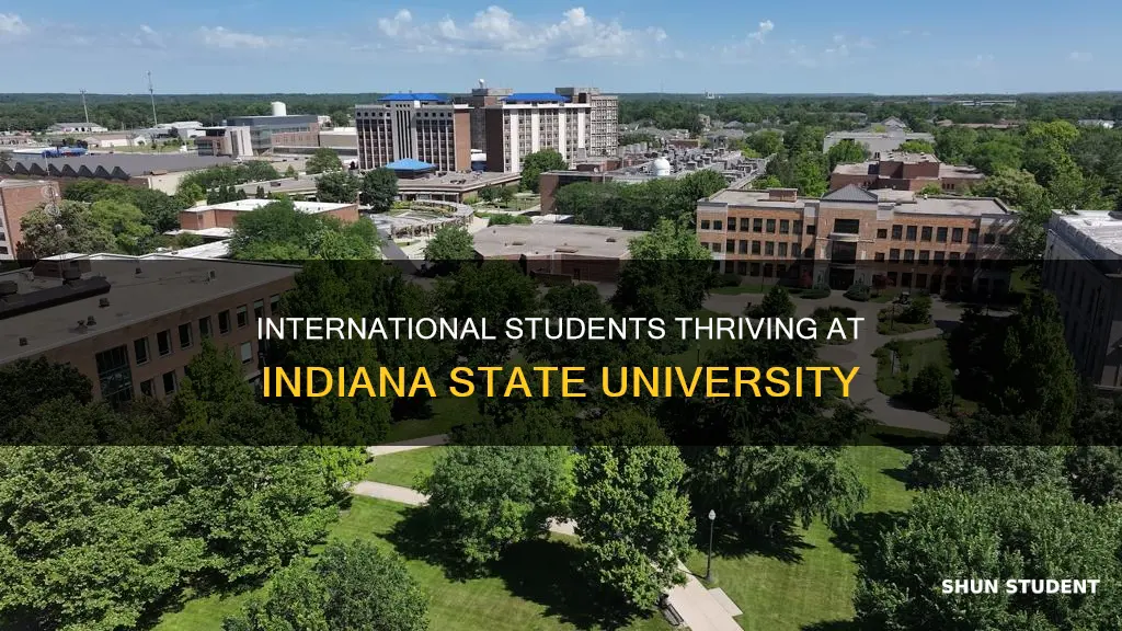 how many international students are at indiana state university