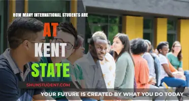 International Students at Kent State: A Diverse Community