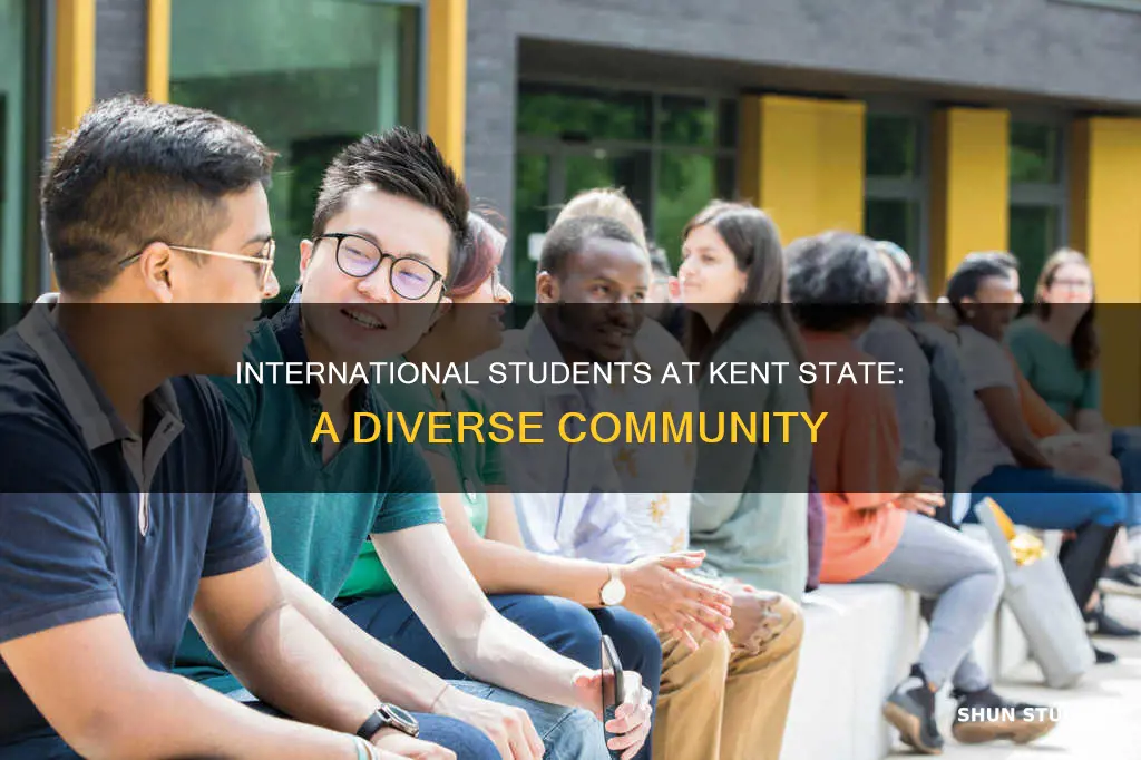 how many international students are at kent state