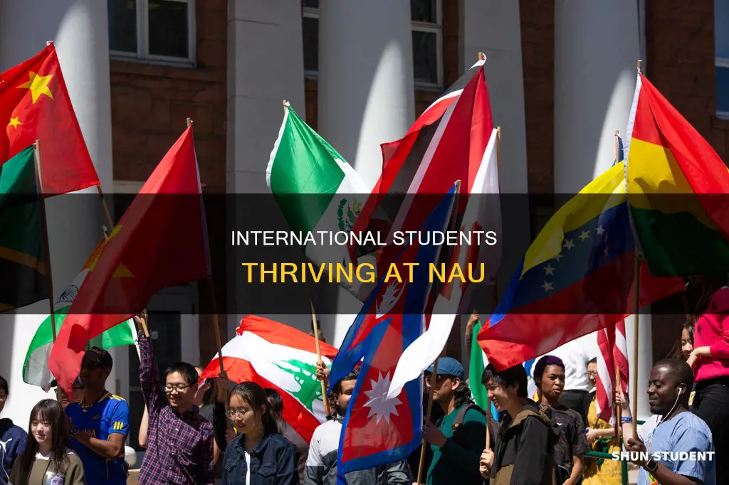 how many international students are at nau