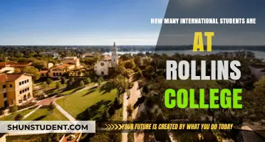 International Students at Rollins College: A Diverse Community