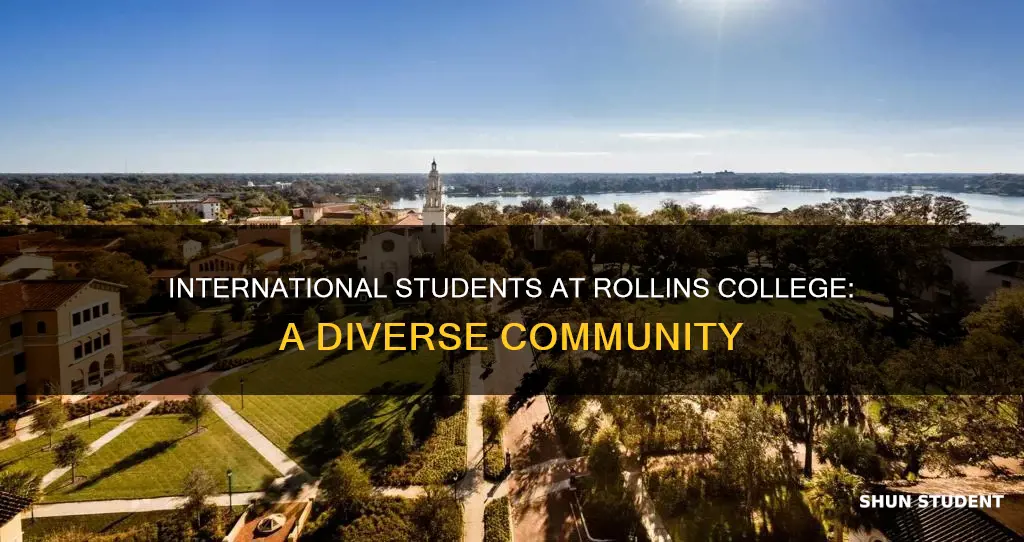 how many international students are at rollins college