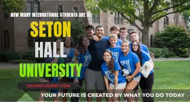 International Students Thriving at Seton Hall University